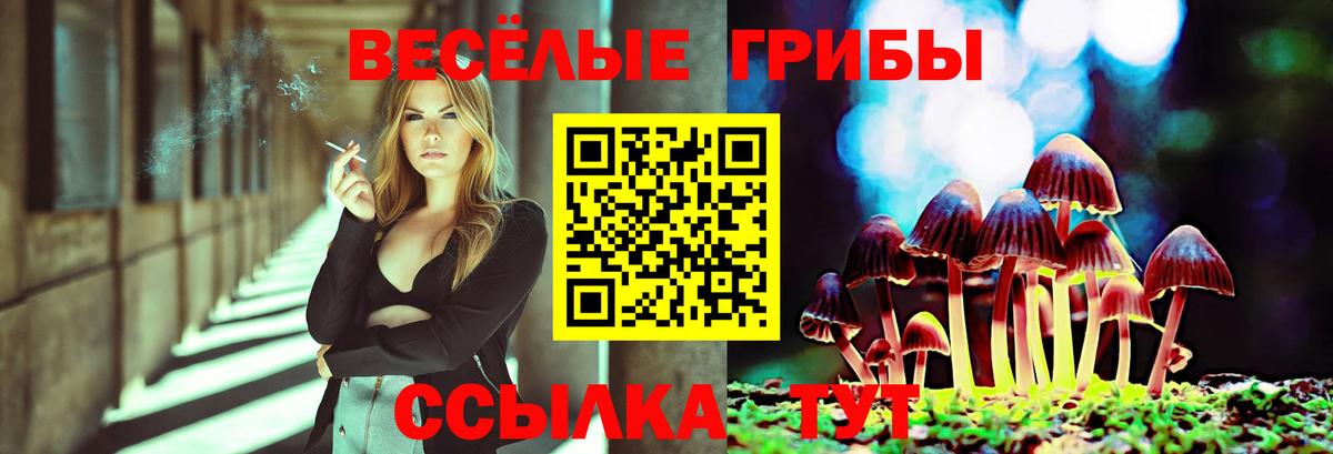 Псилоцибиновые грибы Psilocybine cubensis  Вход с VPN  Саянск 